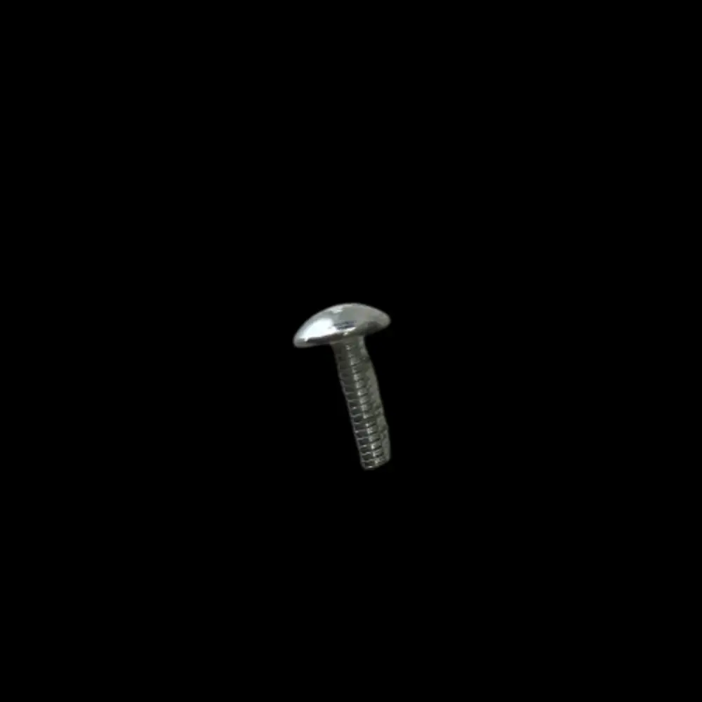 Capacitor Cover Screw