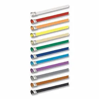 BAND-IT COLOR-IT® Roll-Band, 1/2 W x 100 ft L, 0.025 Thick, 201 Stainless Carbon Steel, Clear Plastic Tote, C144C9-P900