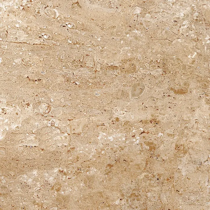 Ferrara Marron 61x61 (24"x24") 6PPB 4.01sqft/p