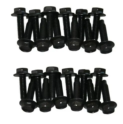Door Hinge Bolts - Place 24, Does 2 Doors
