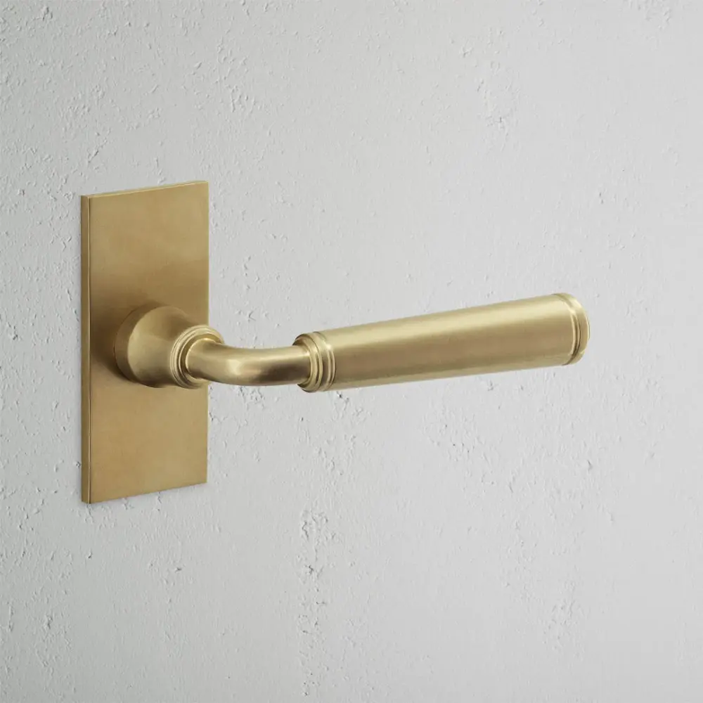 Digby Mini Plate Fixed Door Handle - Antique Brass