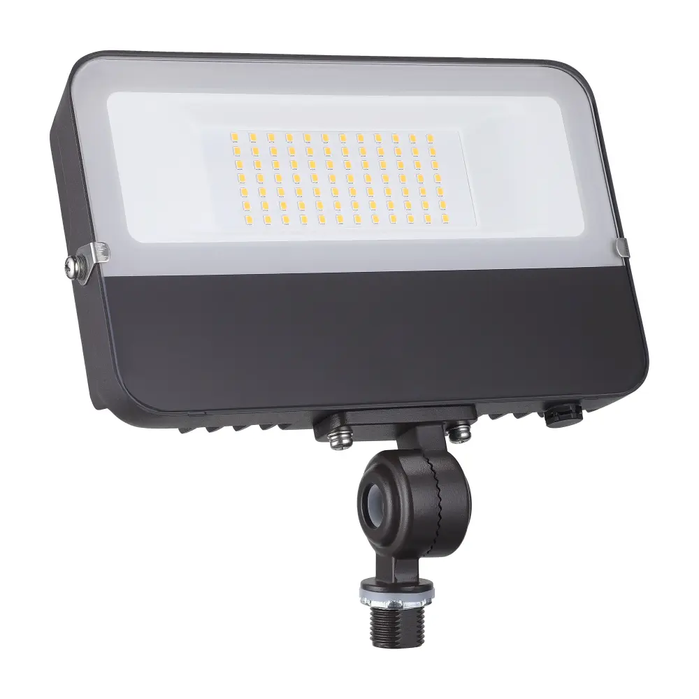 RayLynx Pro 50W Knuckle Mount LED Flood Portable - 3000K/5000K