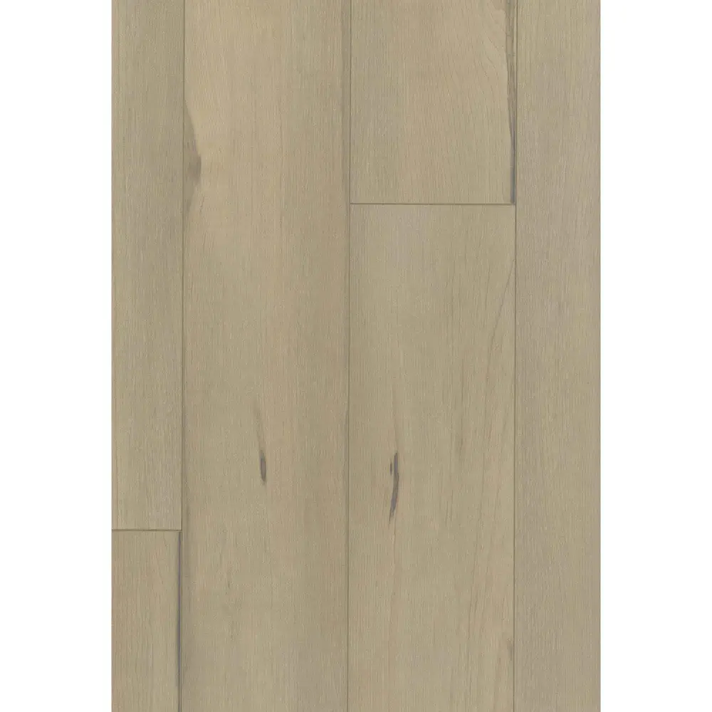 INTEMPOREL Taupe Sahara AC4 Laminate Flooring, 12.3 mm