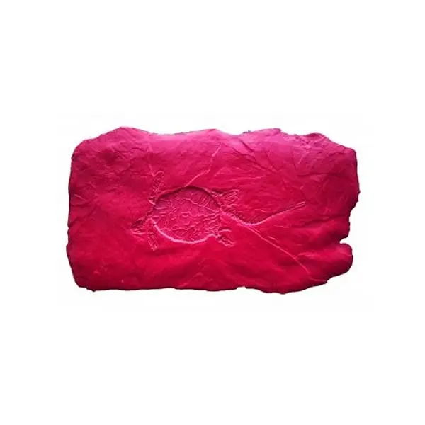 BonWay Fossil Stamp, Turtle, Impression Size 16" x 7", 32-685