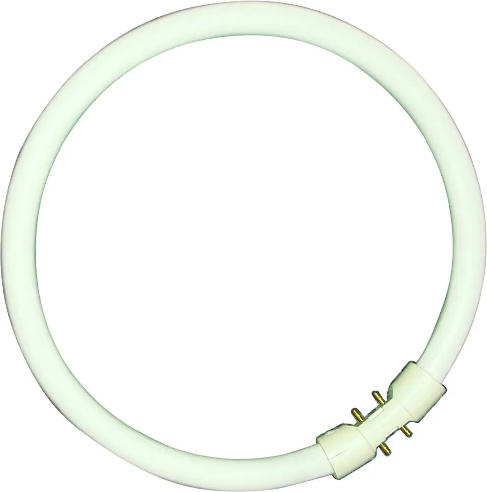 Cool White Bell 60W T5 Circular Tube 4000K, 2GX13 Fitment