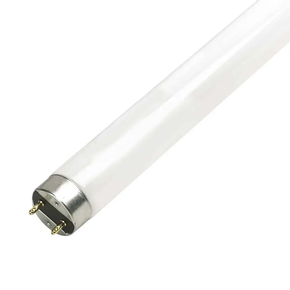 T8 Daylight Fluorescent Tube, 18"