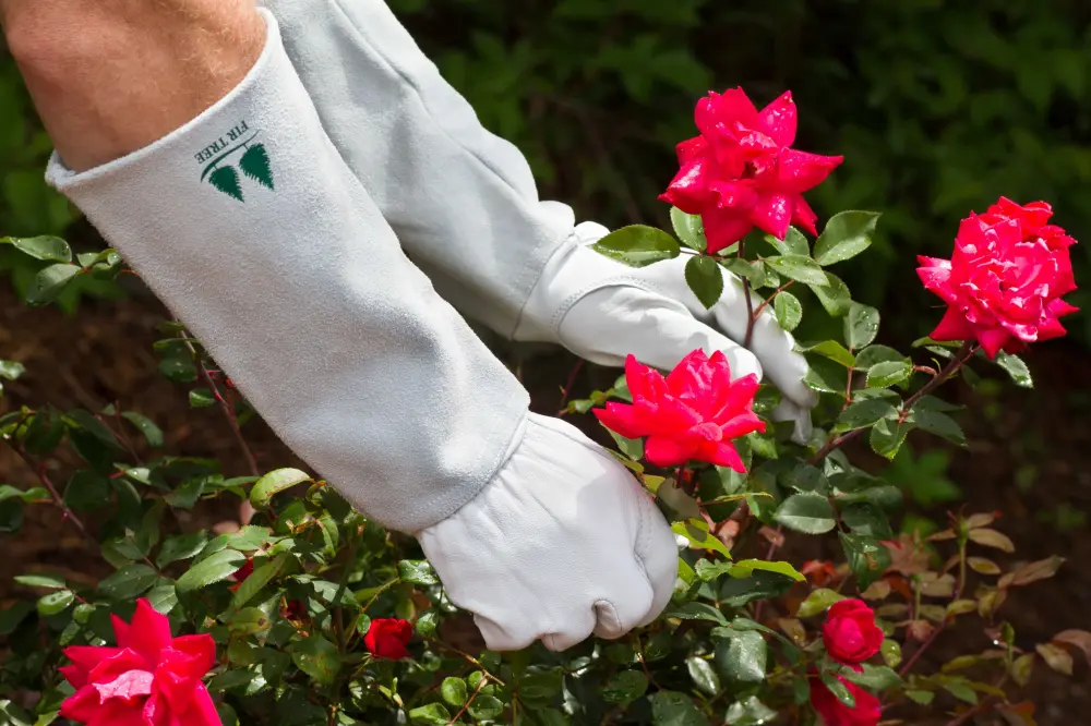 Goatskin Gauntlet Gardening Gloves Leather