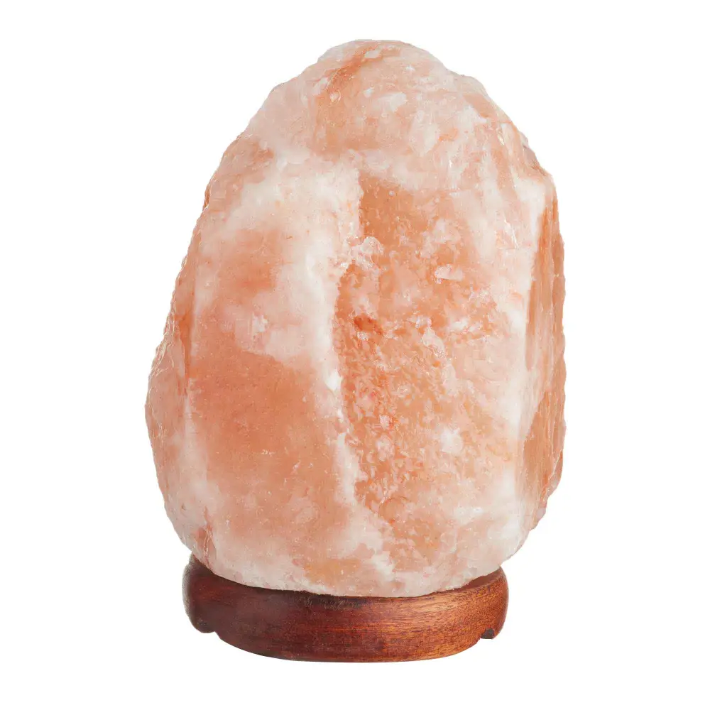 Himalayan Coral Salt Lamp, 7"