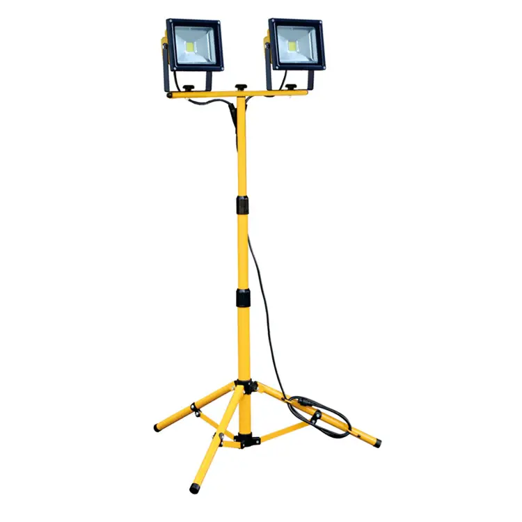 Motion-Activated Security Power 2X20W Dual Voltage LED Site Buoyant