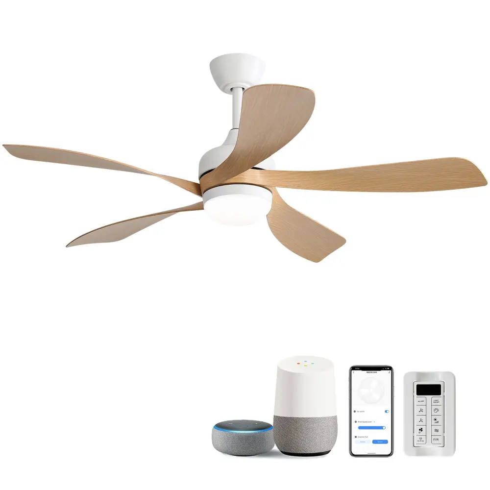 Ceiling Fan & DC Motor And Integrated Airy