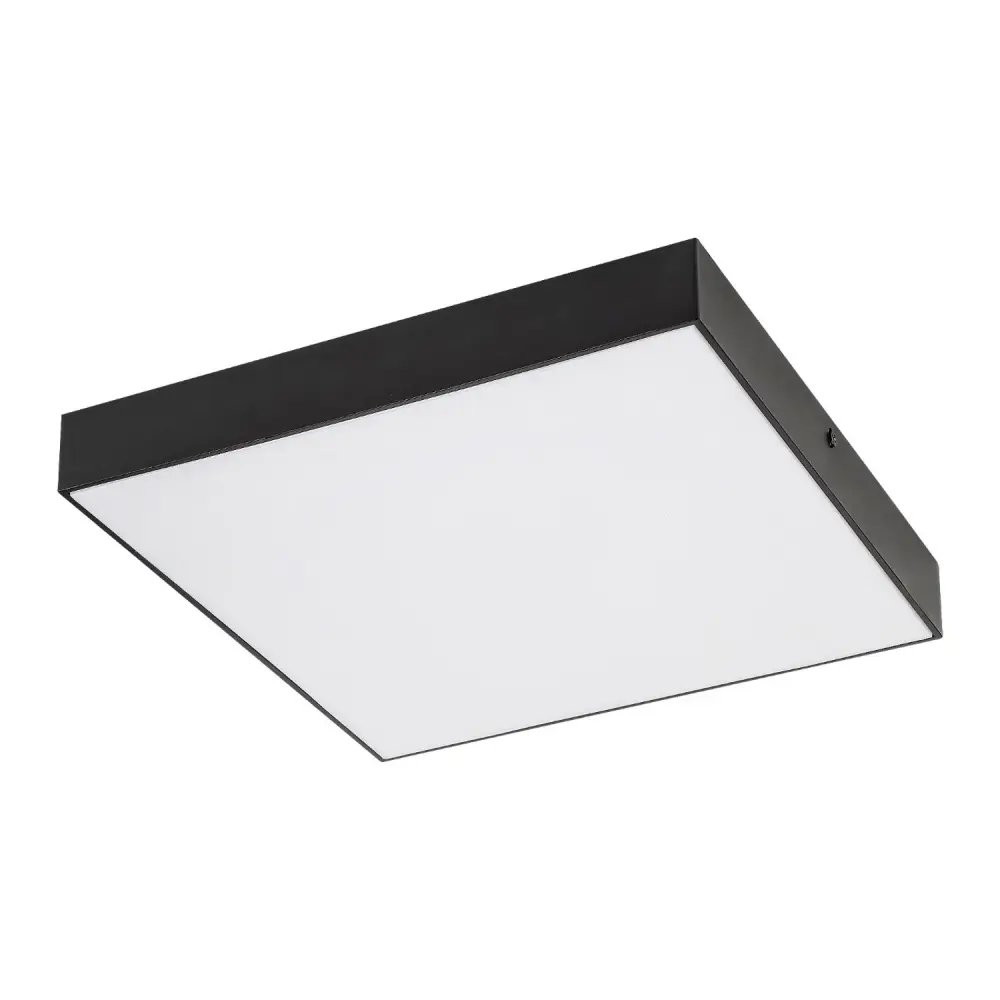 Low Voltage RABALUX TARTU 7900 LED Ceiling Garden Lamp Outdoor Luminaire Adjustable Buoyant Colour