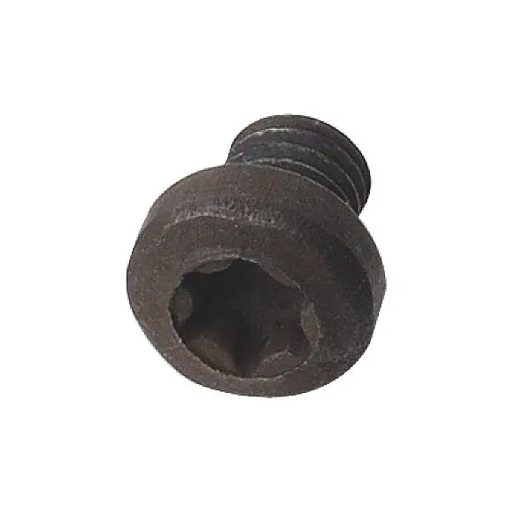 CMT Orange Tools Torx Cap Screw, 5x6.5 Millimeters, 990.080.00