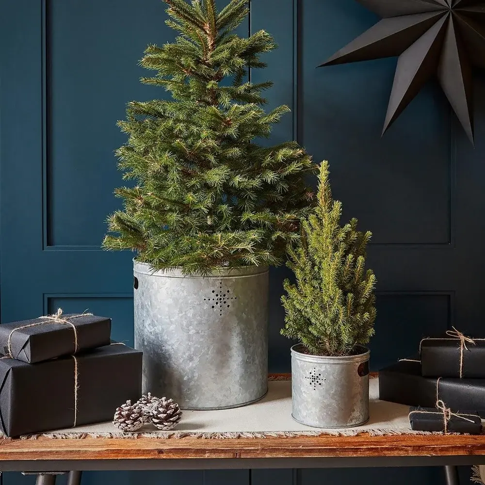 Indoor Large Christmas Tree Bucket Star - Galvanised Stainless