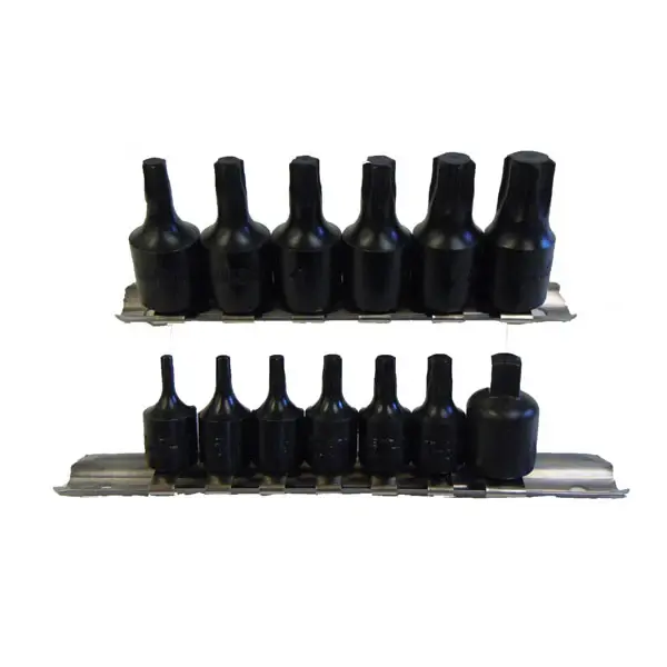 15 Piece Star Bit Socket Place