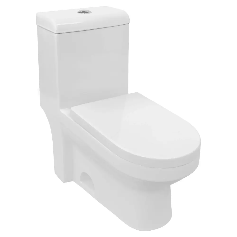 One-Piece 1.28 GPF Individual Flush Elongated Toilet Soft-Close Seat LT9
