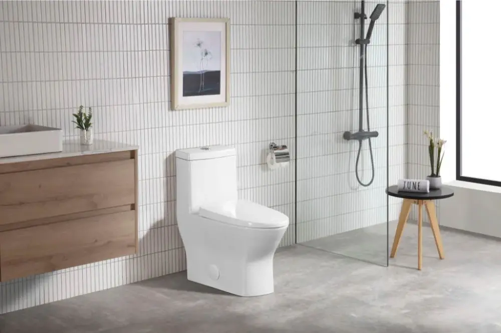 One-Piece Compact Double Flush Toilet from PJL