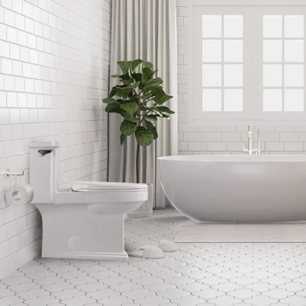 Regency single flush one-piece toilet