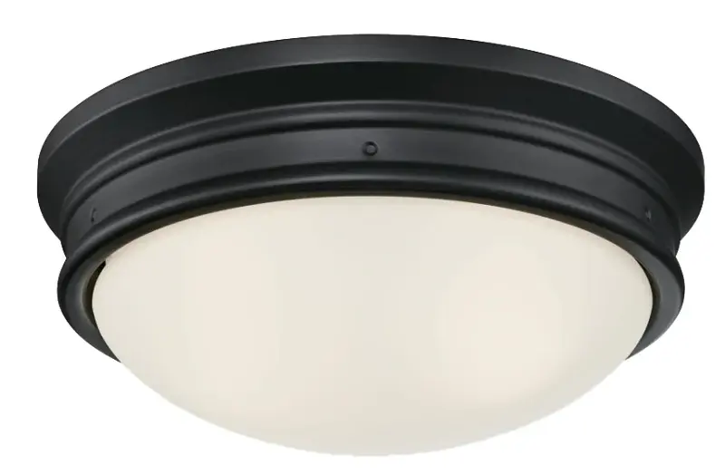 Westinghouse Meadowbrook Series 6324100 Flush Mount Ceiling Fixture, 120 VAC, 2-Lamp, Onyx Fixture, Matte Fixture