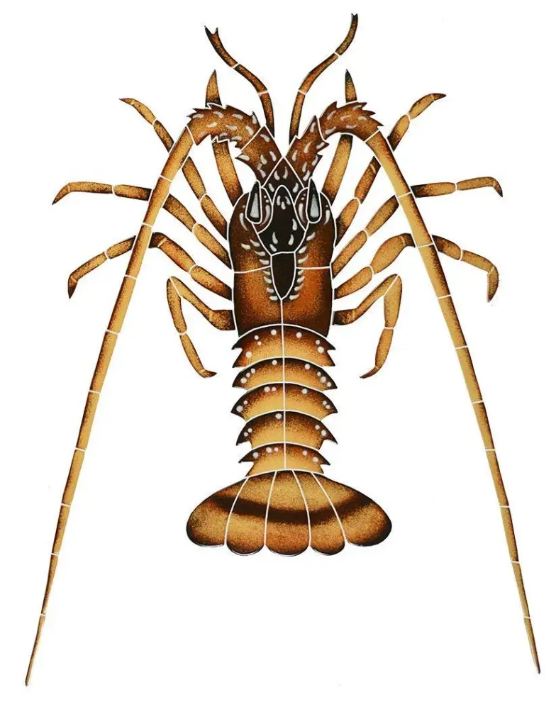 Artistry Mosaics Spiny Lobster Earthenware Swimming Pool Mosaic (24" x 18")