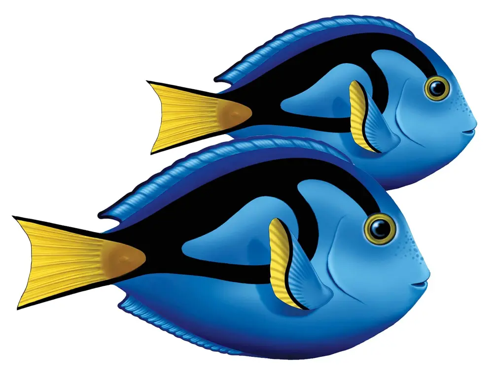 Blue Tang (Double) Porcelain Swimming Pool Mosaic (9" x 7")