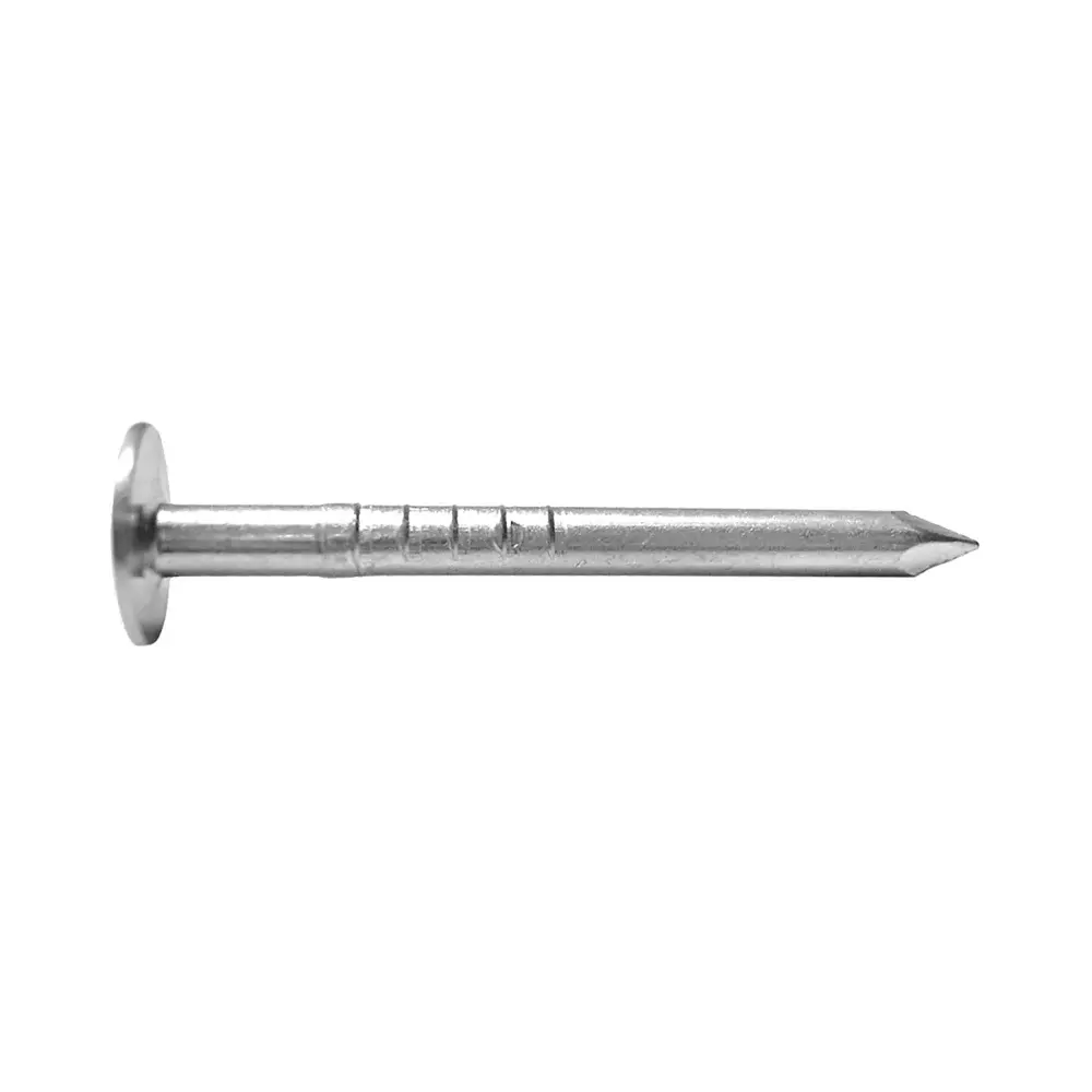 Electro-Galvanized Roofing Nail 1", 600 Units