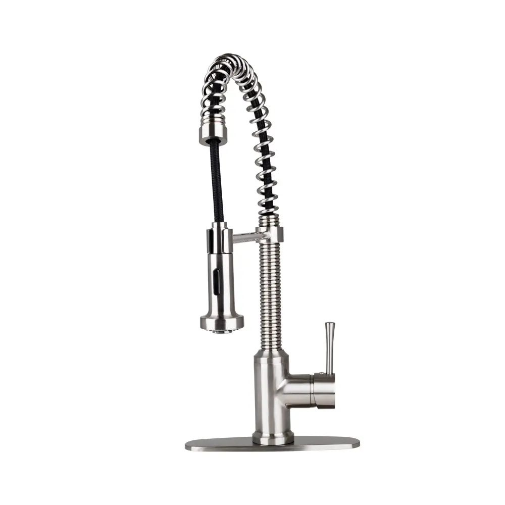 Fontaine Italia Residential Spring Faucet 2 Spray Heads and Deck Plate Matte Nickel
