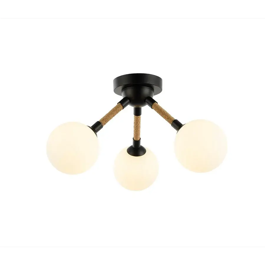 Multi-Function Capilano Ceiling Portable