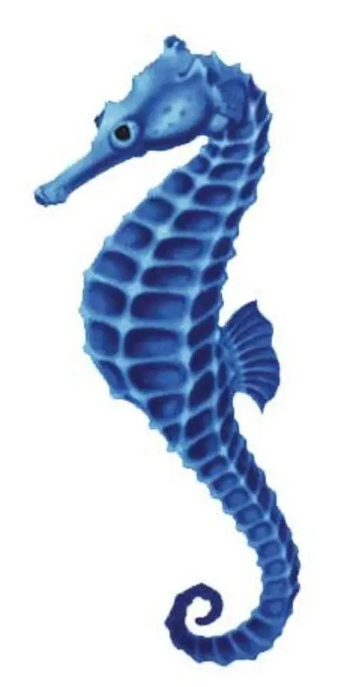 Seahorse Porcelain Swimming Pool Mosaic Kit Accessories