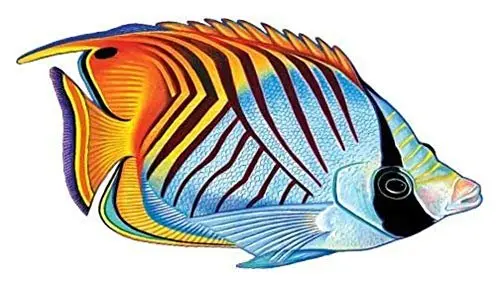 Threadfin Butterflyfish Porcelain Swimming Pool Mosaic 3-Year Service Plan