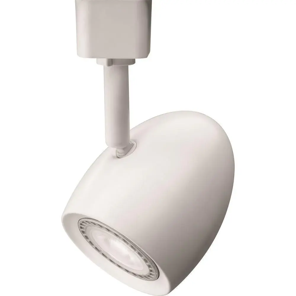 Ostrich Egg 1-Light Alabaster LED Track Lighting Head Damaged Box